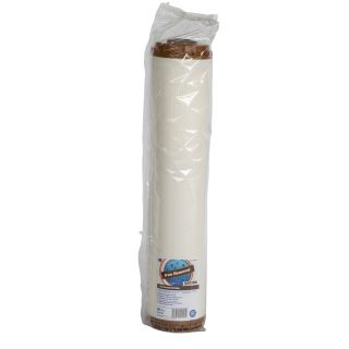 Cartus deferizare 20" Big Blue